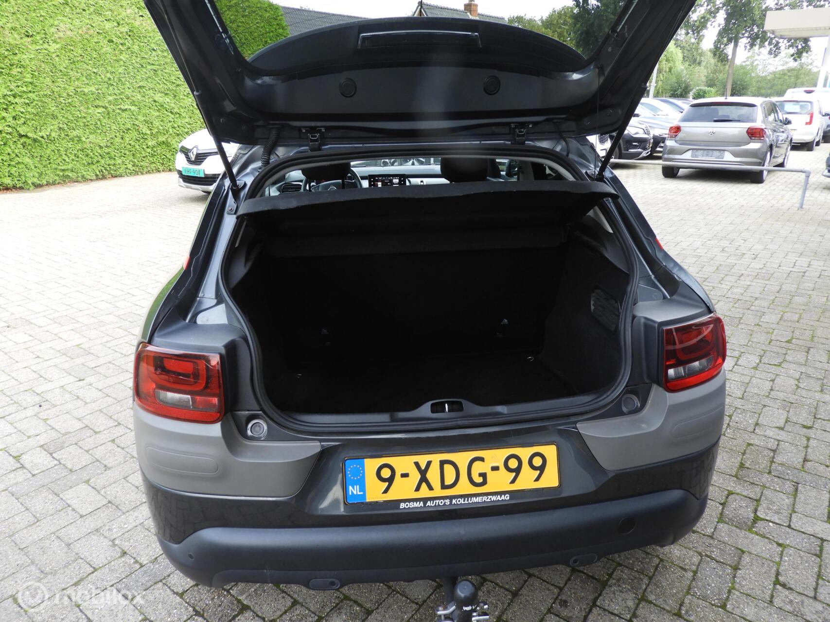 Foto van Citroen C4 Cactus