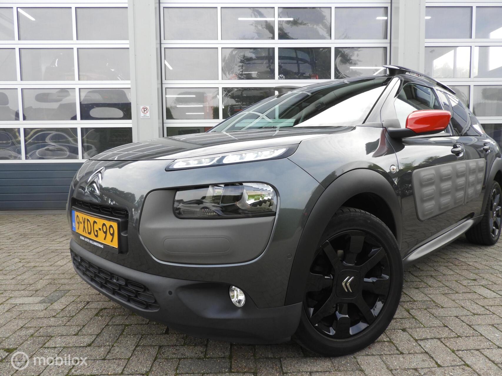 Foto van Citroen C4 Cactus
