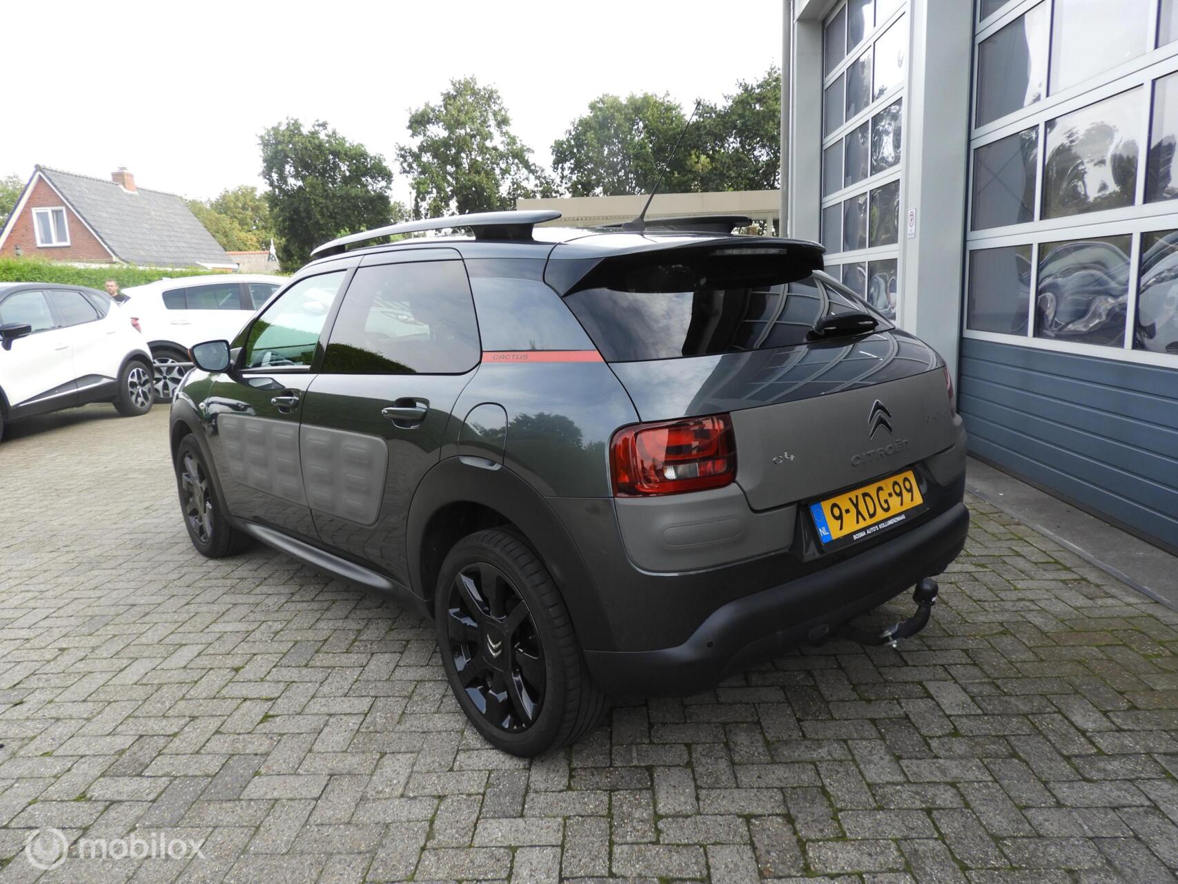Foto van Citroen C4 Cactus