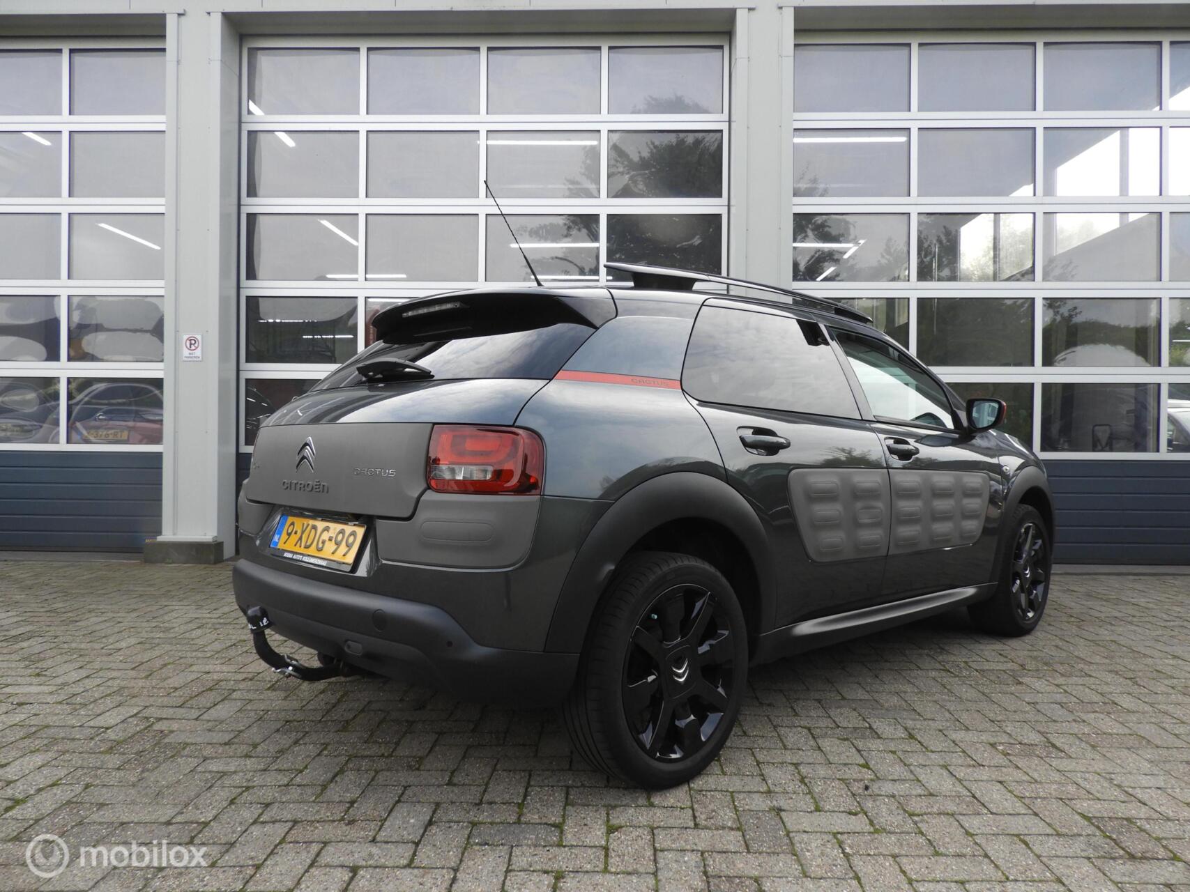 Foto van Citroen C4 Cactus
