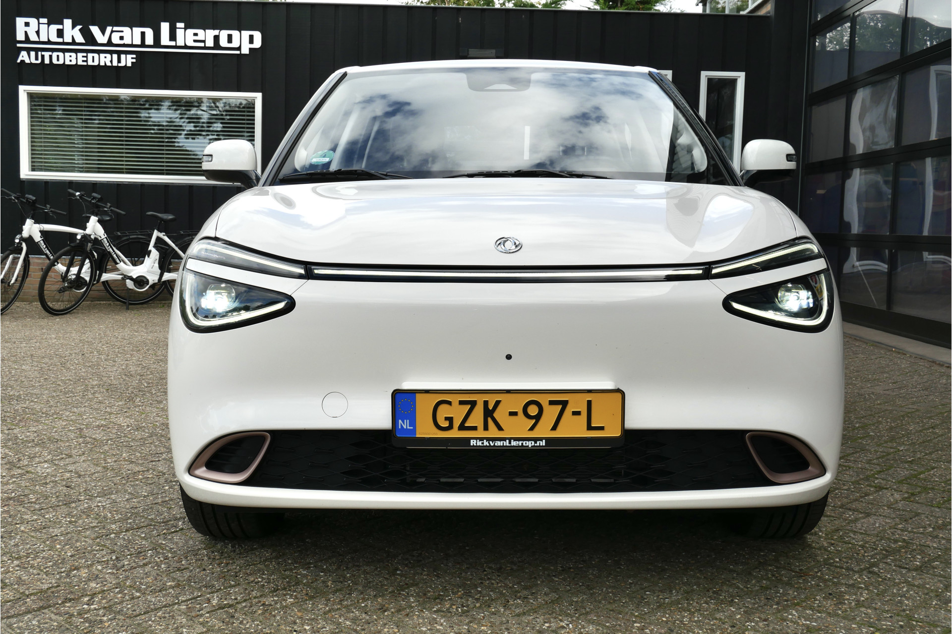 Foto van Dongfeng Box