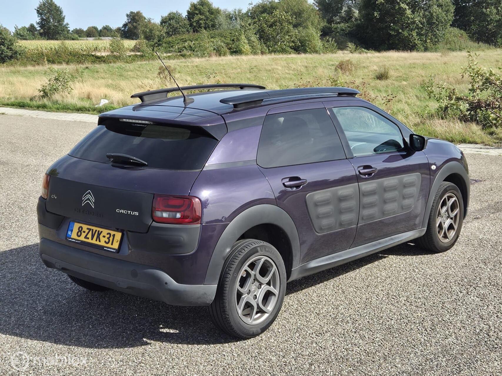Foto van Citroen C4 Cactus