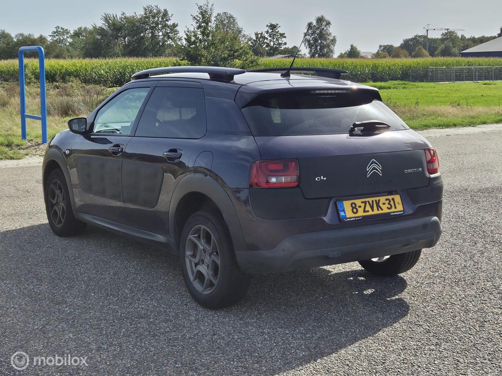 Foto van Citroen C4 Cactus