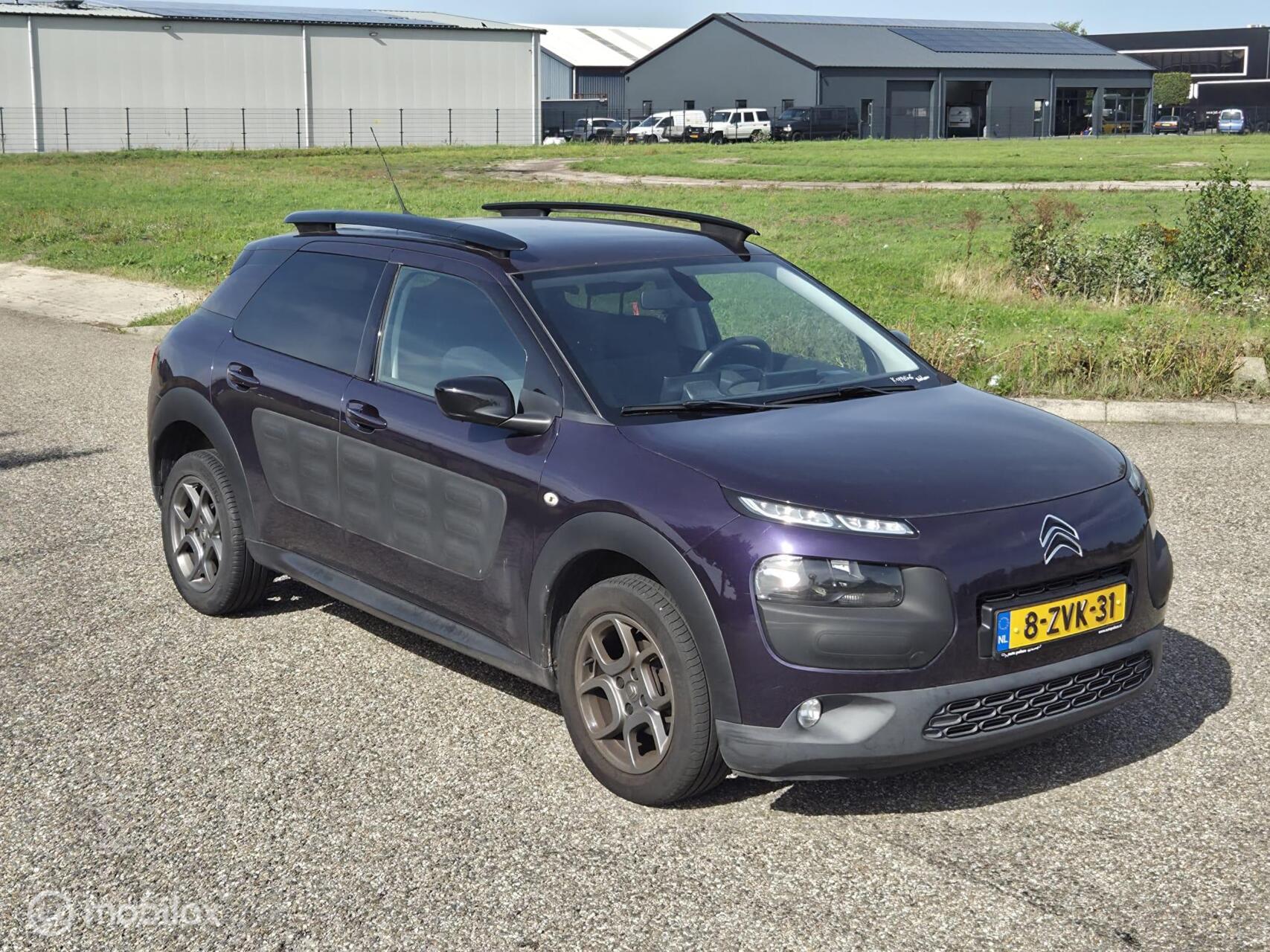Foto van Citroen C4 Cactus
