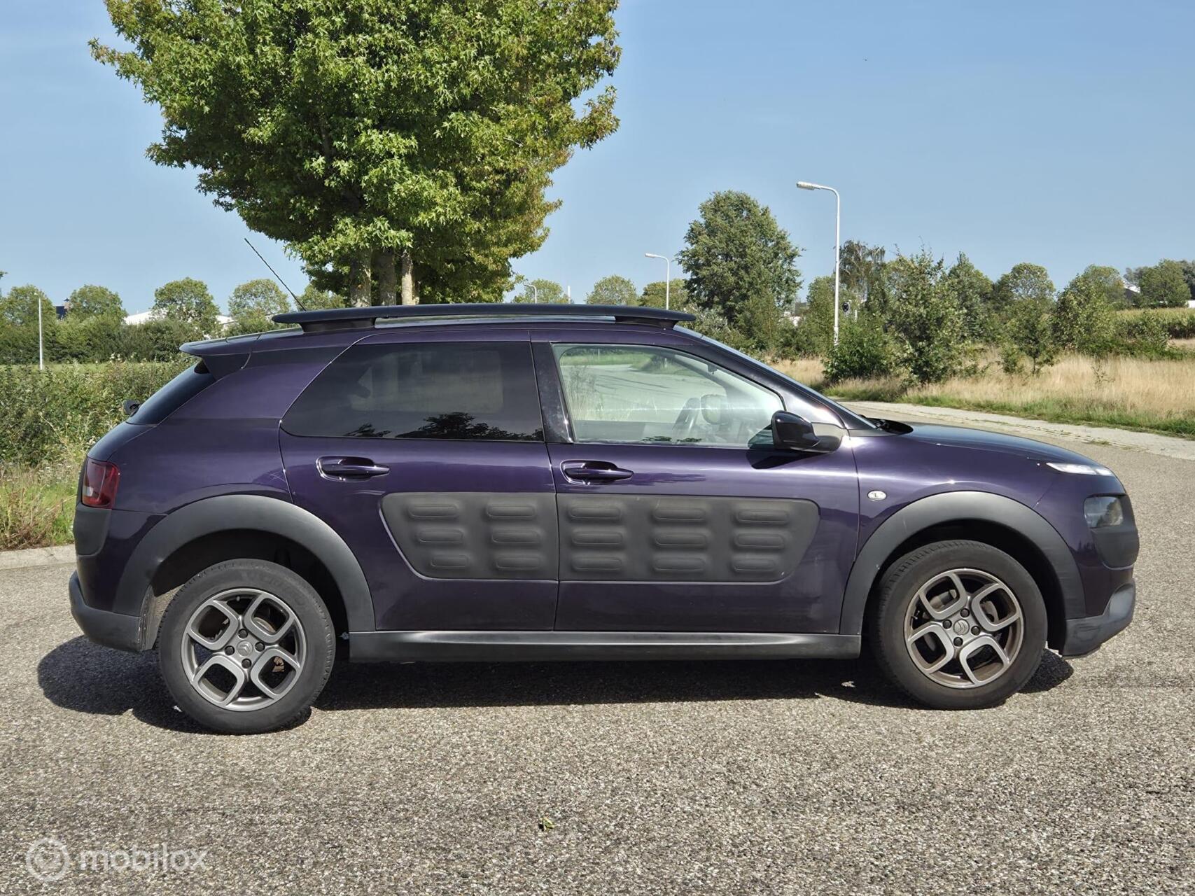 Foto van Citroen C4 Cactus