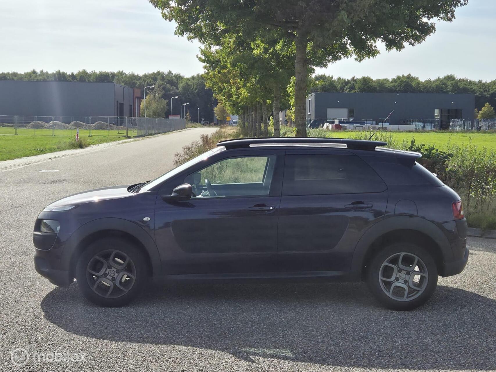 Foto van Citroen C4 Cactus