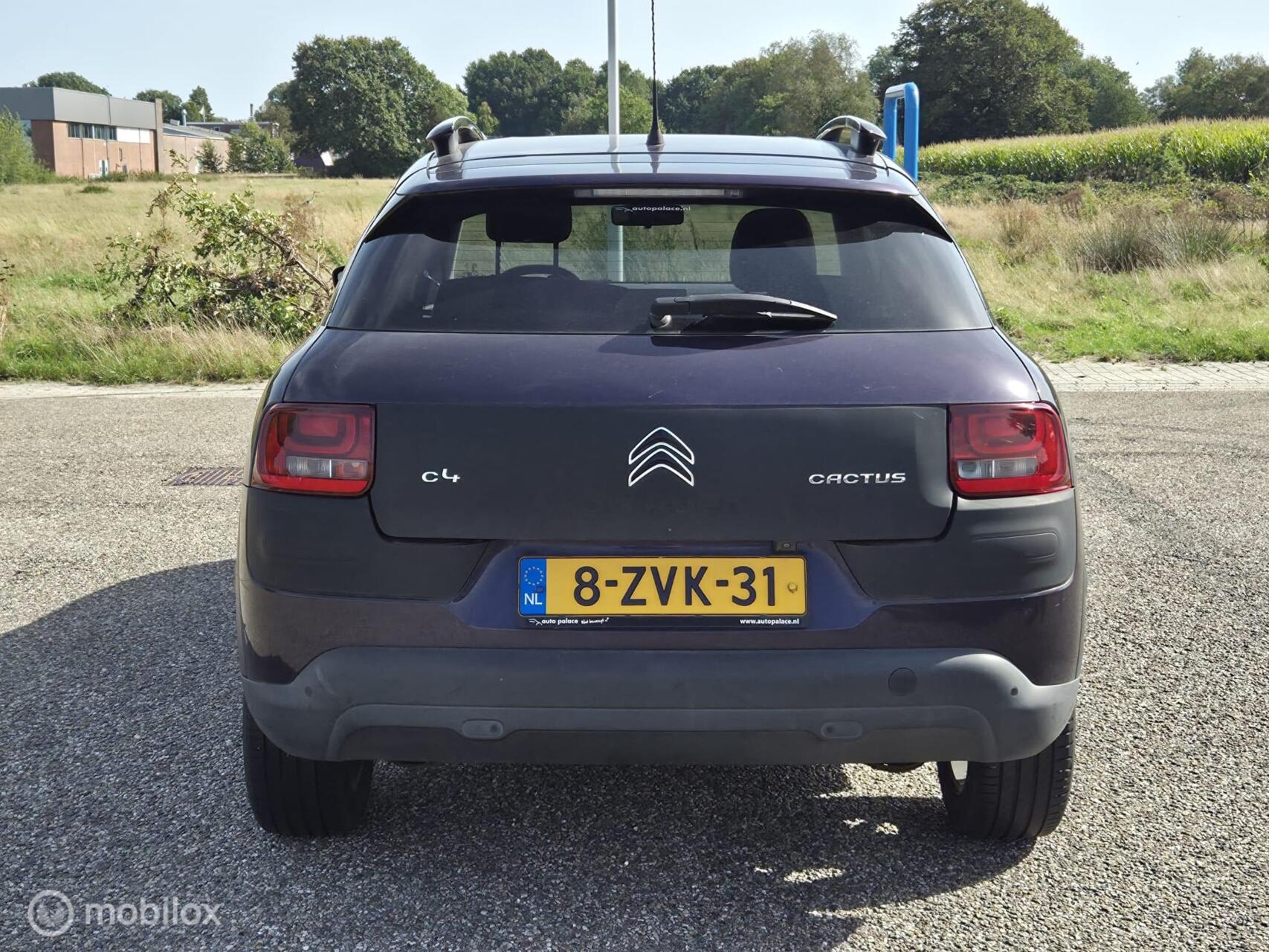 Foto van Citroen C4 Cactus