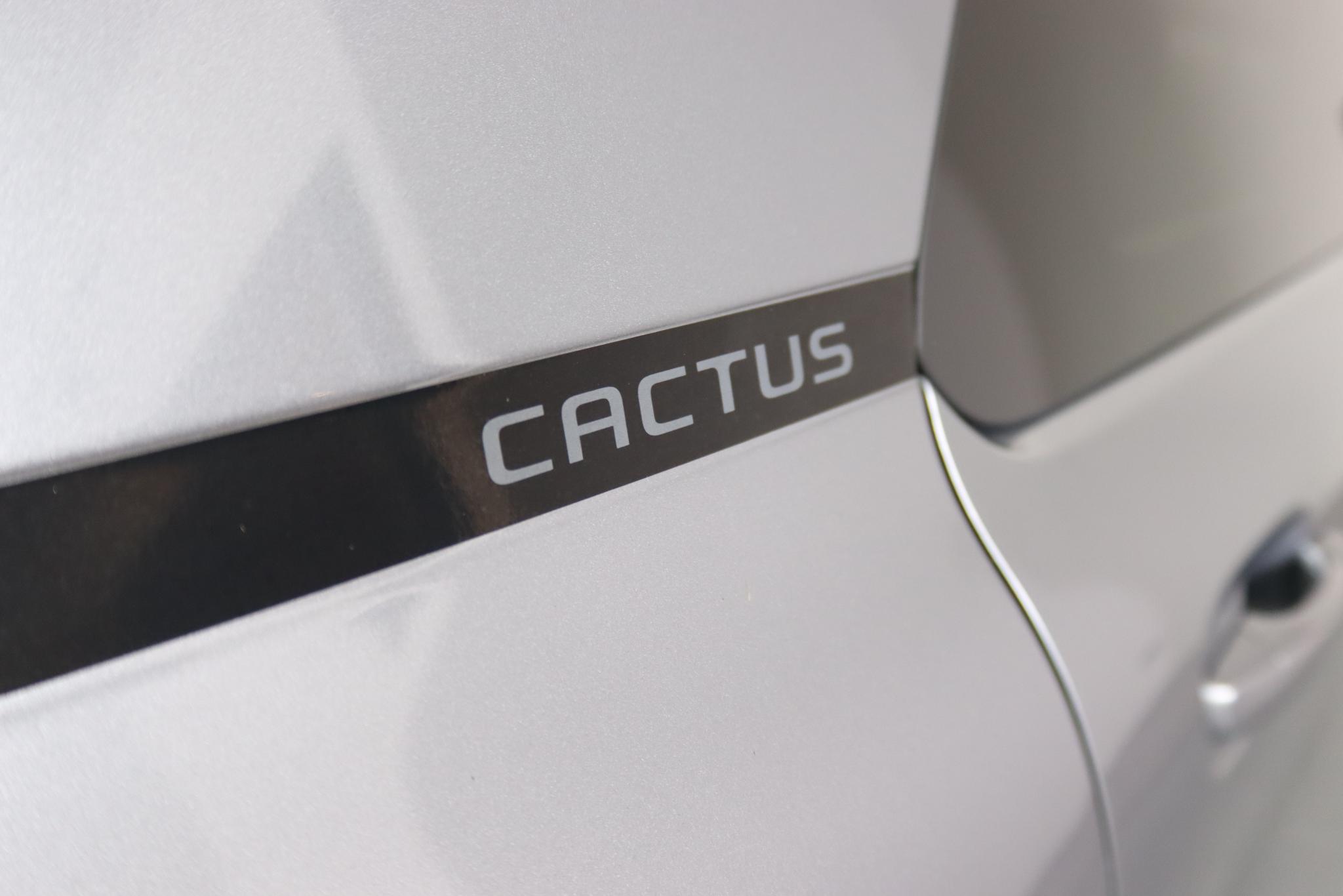 Foto van Citroen C4 Cactus