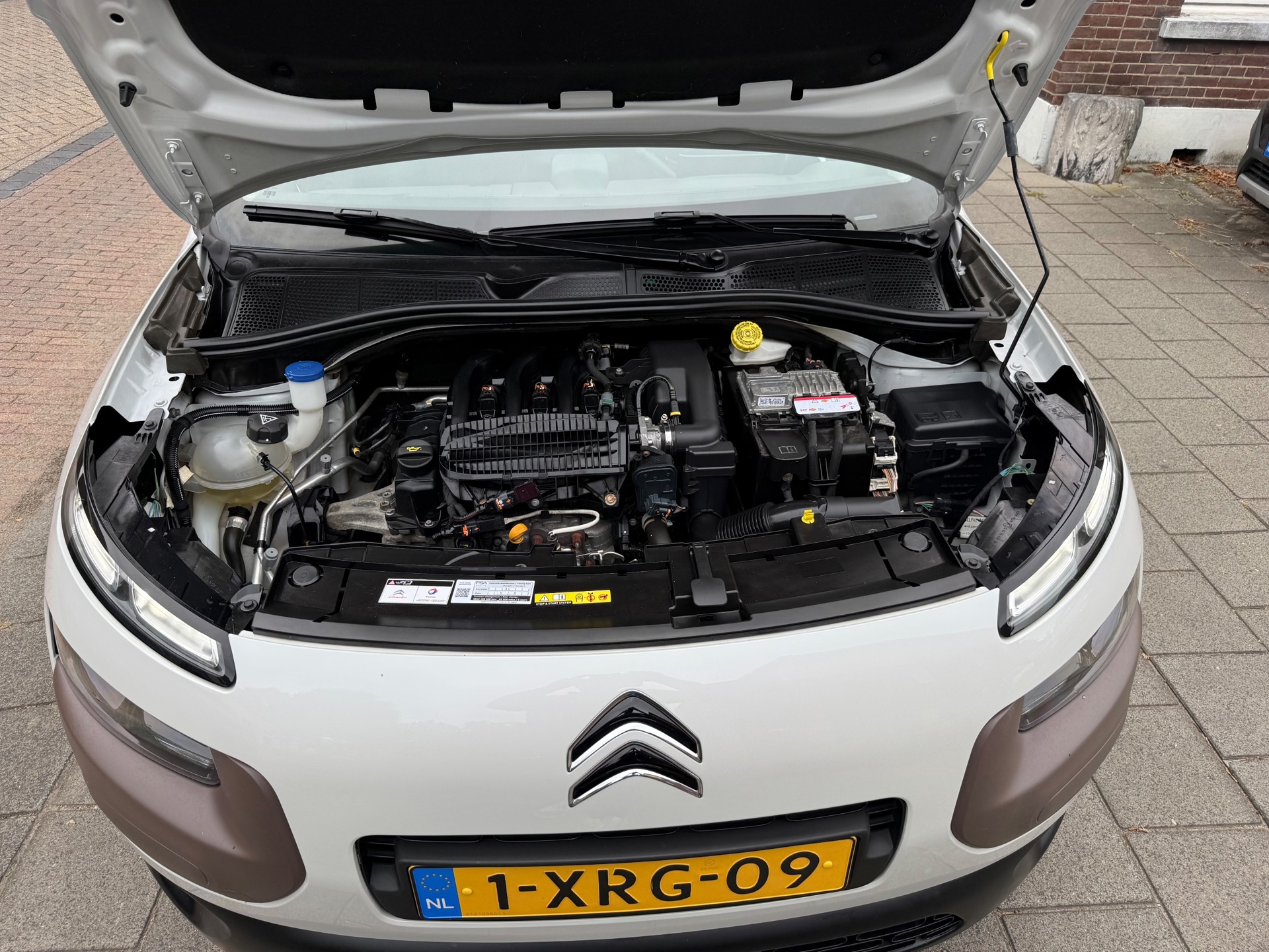 Foto van Citroen C4 Cactus