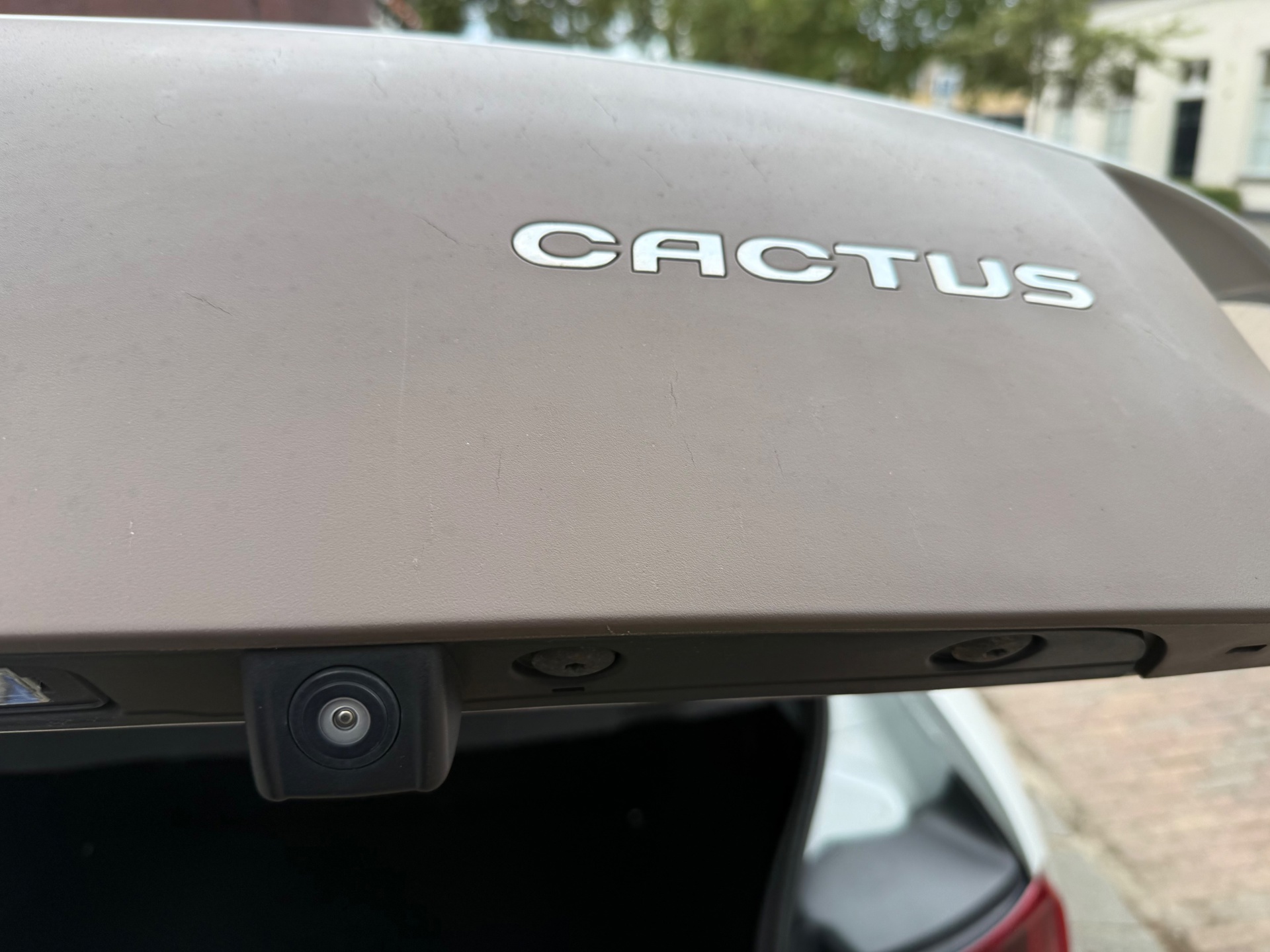 Foto van Citroen C4 Cactus