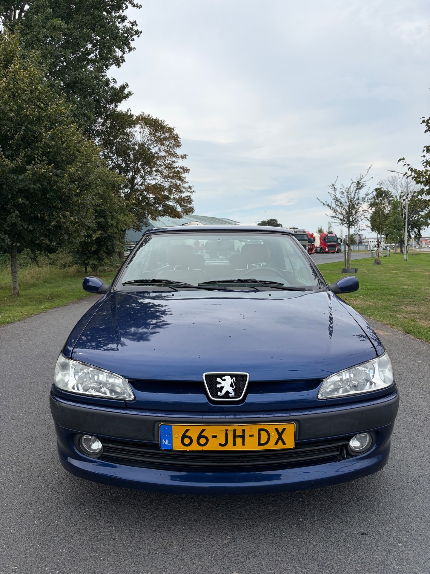 Foto van Peugeot 306