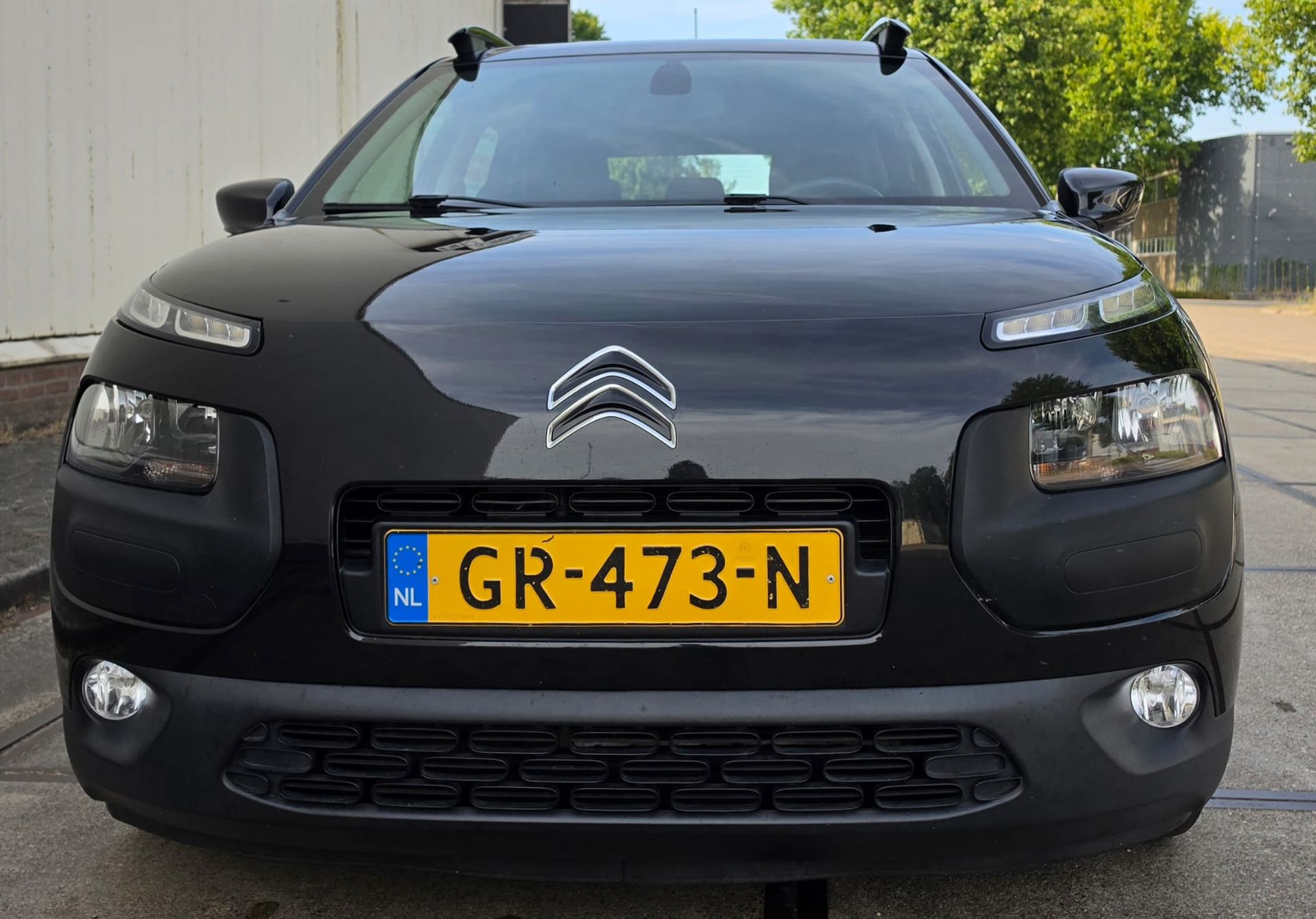 Foto van Citroen C4 Cactus