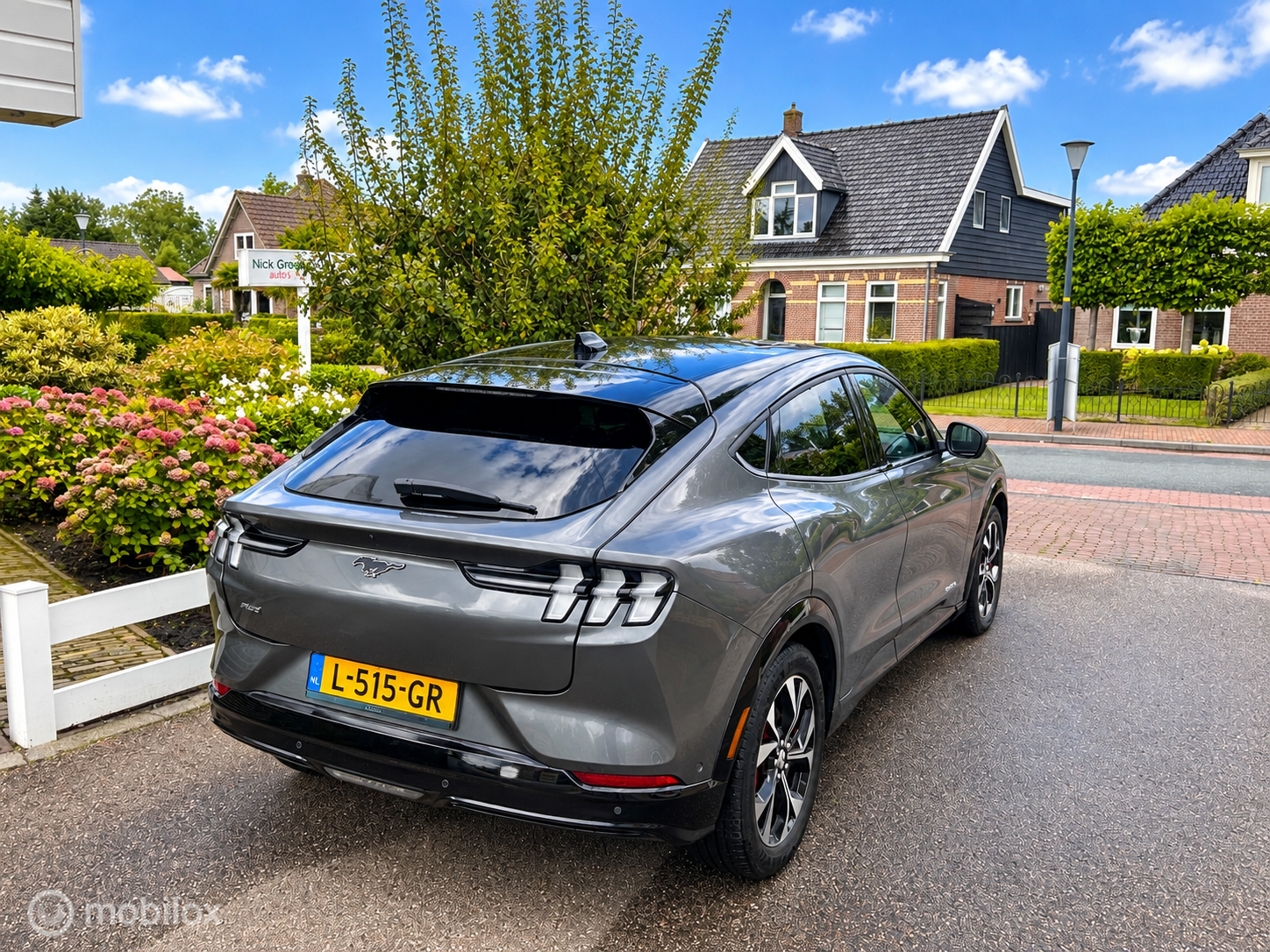 Foto van Ford Mustang Mach-e