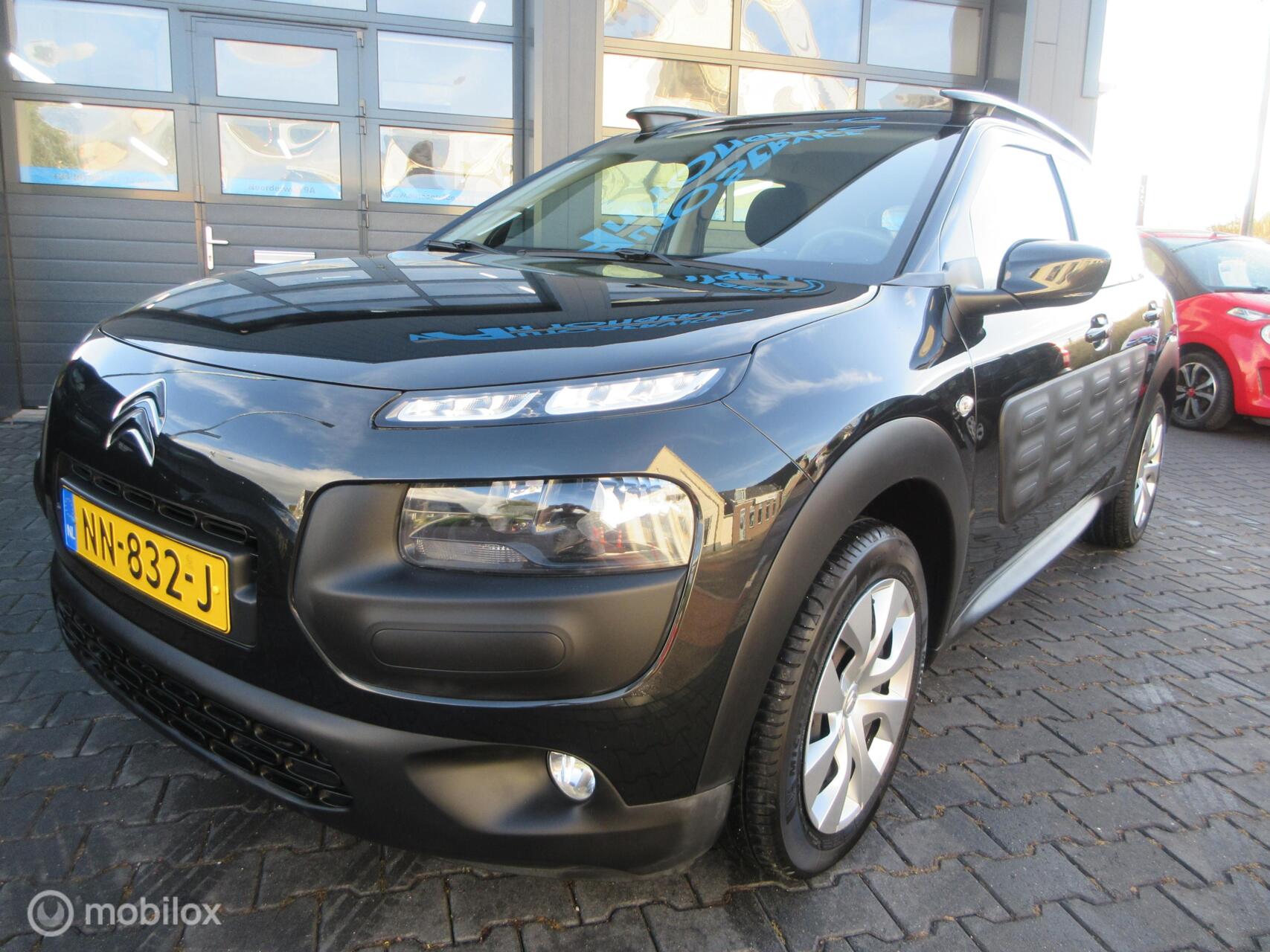 Foto van Citroen C4 Cactus