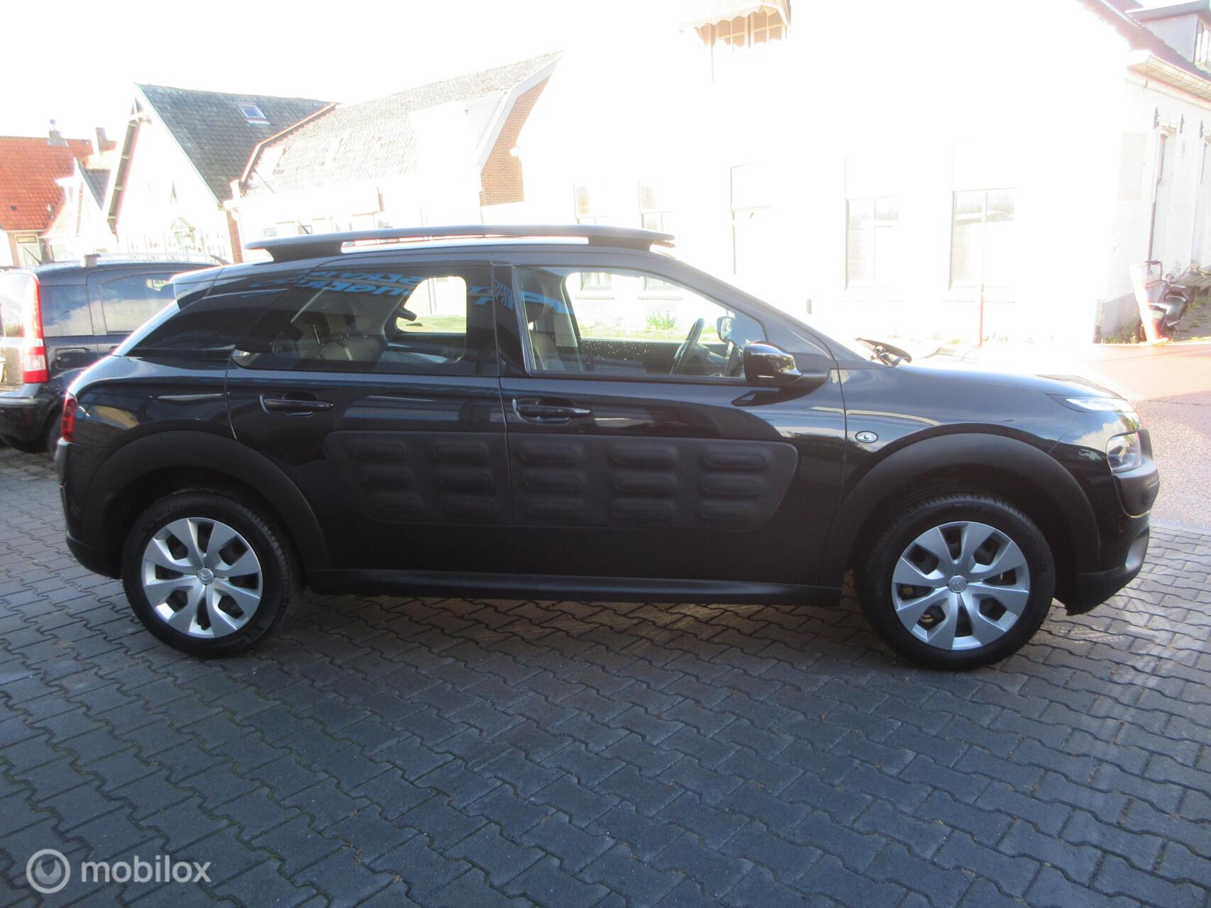 Foto van Citroen C4 Cactus