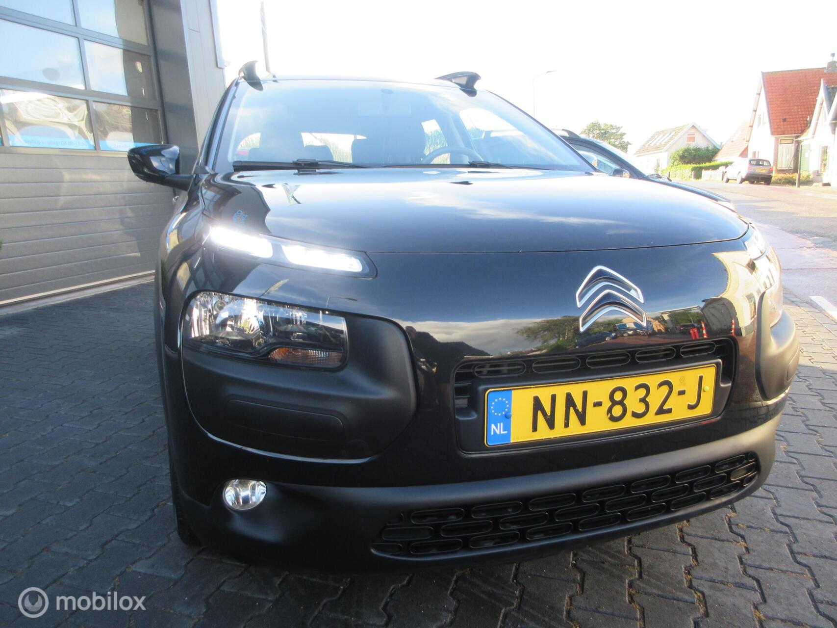 Foto van Citroen C4 Cactus