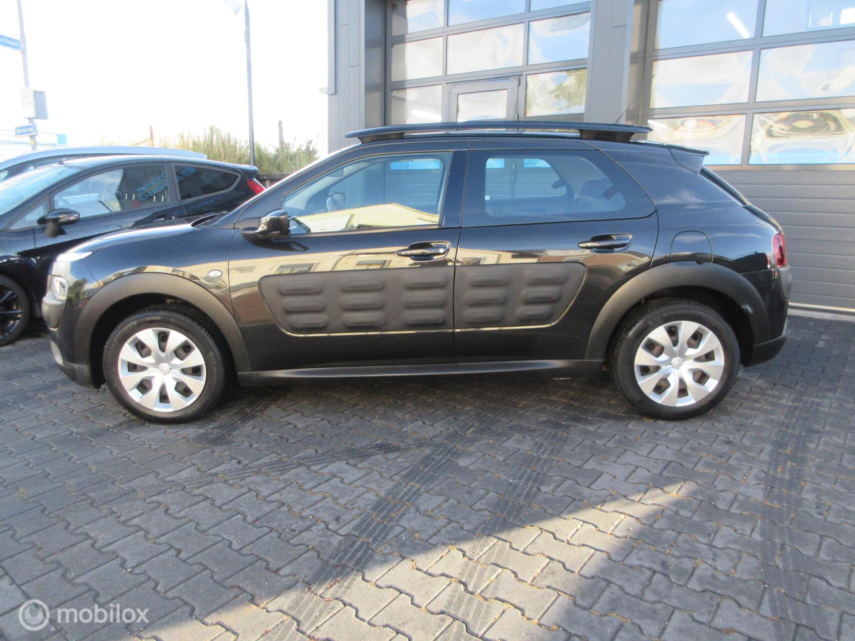 Foto van Citroen C4 Cactus