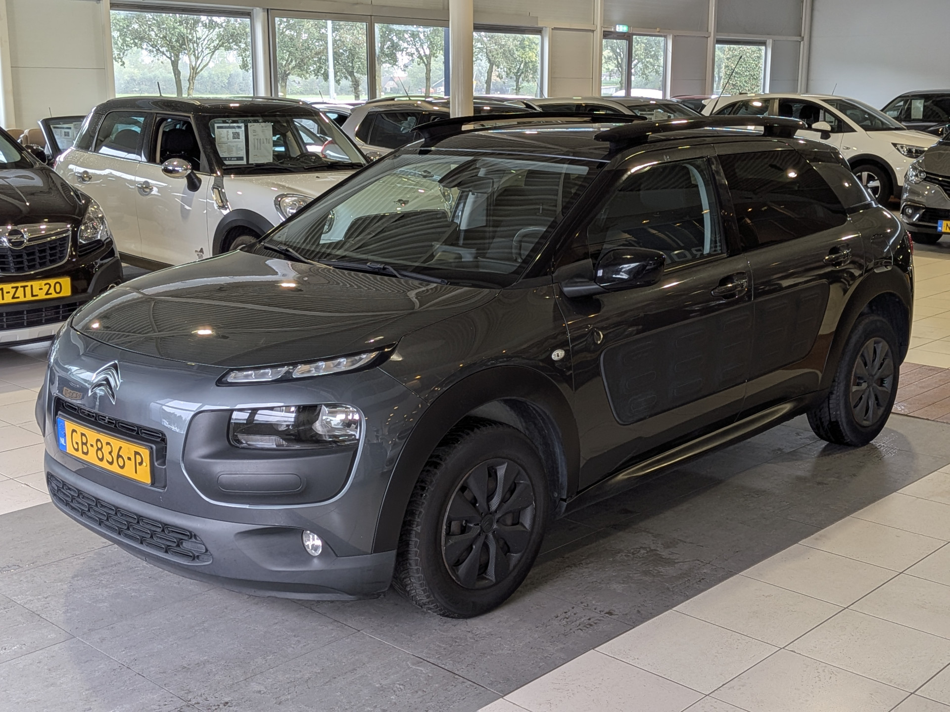 Foto van Citroen C4 Cactus