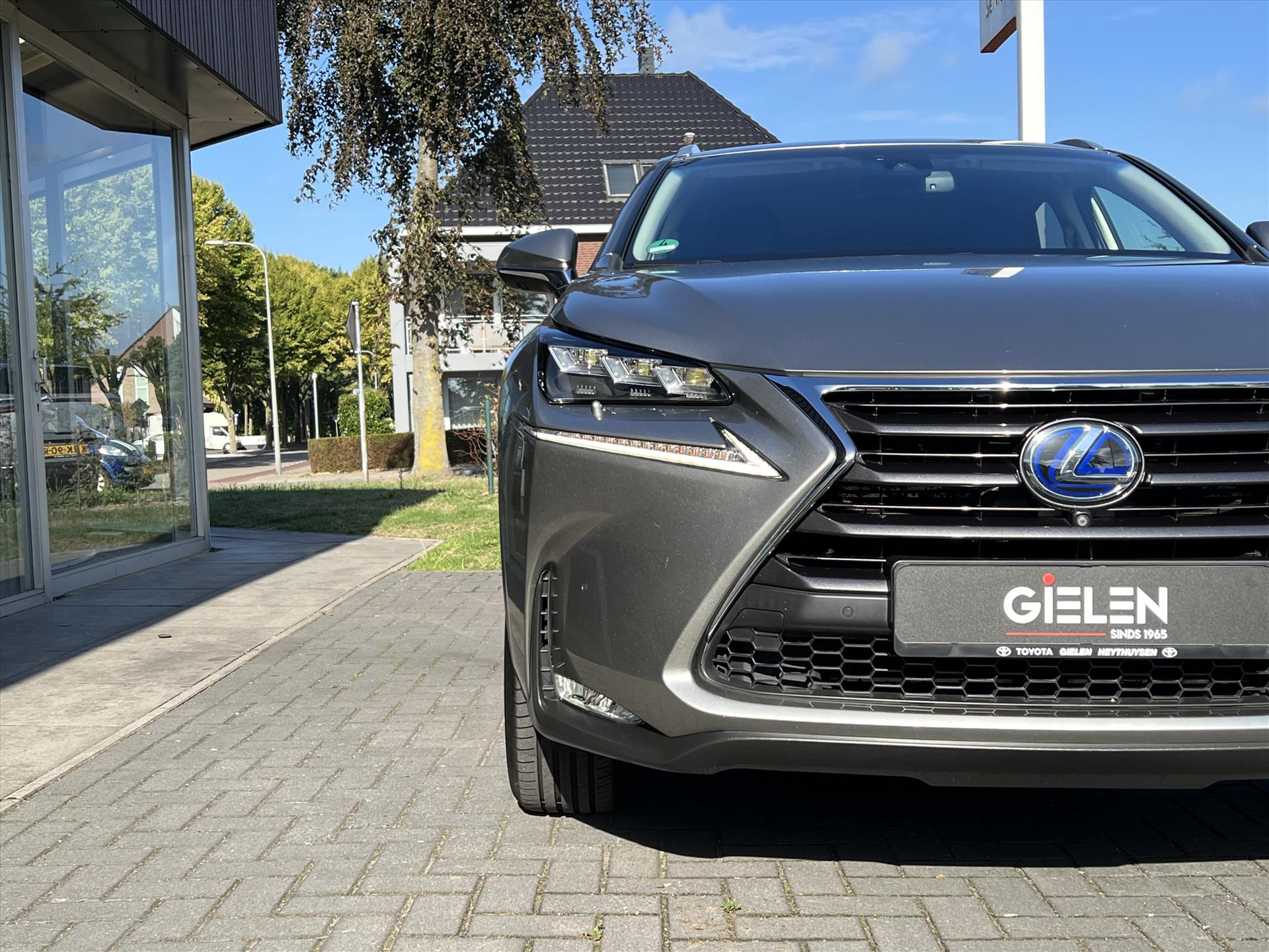 Foto van Lexus Lexus Nx300h