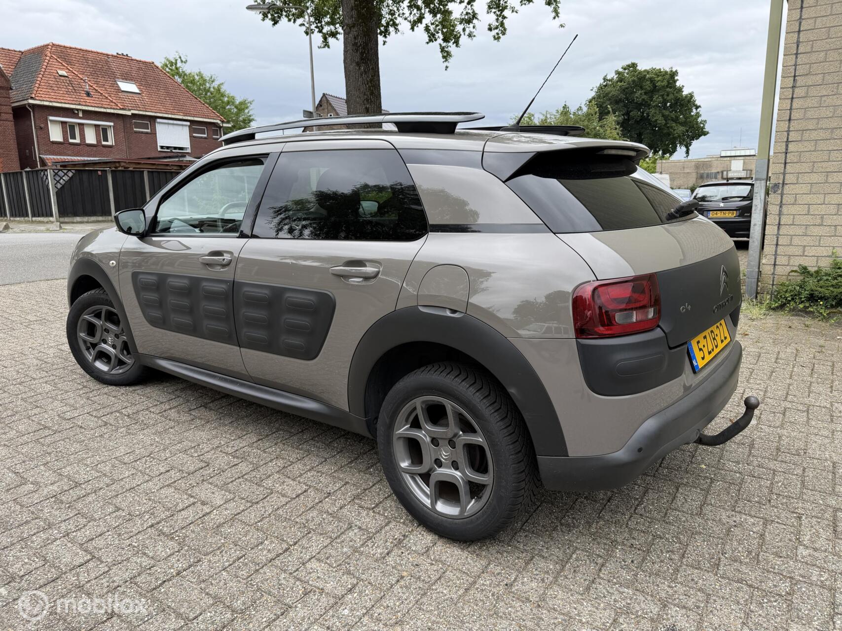Foto van Citroen C4 Cactus