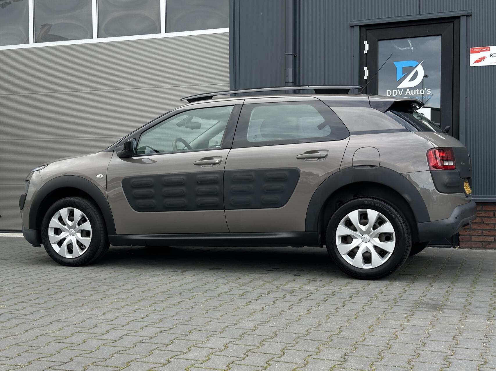 Foto van Citroen C4 Cactus