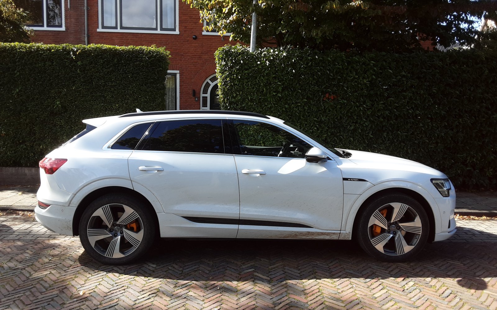 Inspectiefoto van Audi E-tron