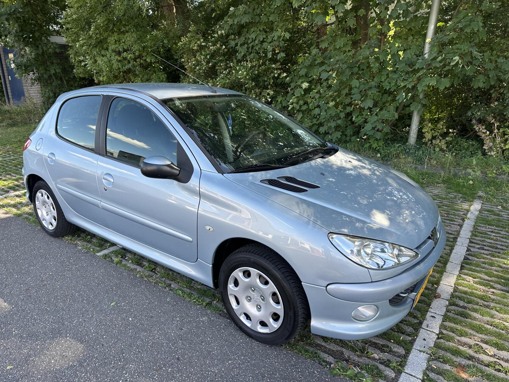 Foto van Peugeot 206