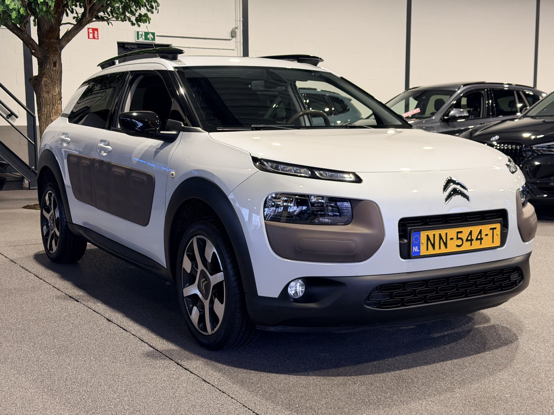 Foto van Citroen C4 Cactus