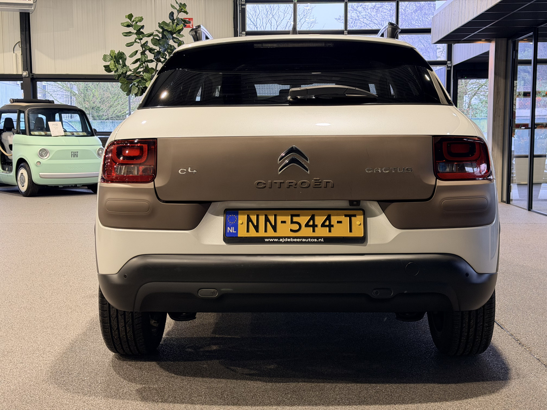 Foto van Citroen C4 Cactus