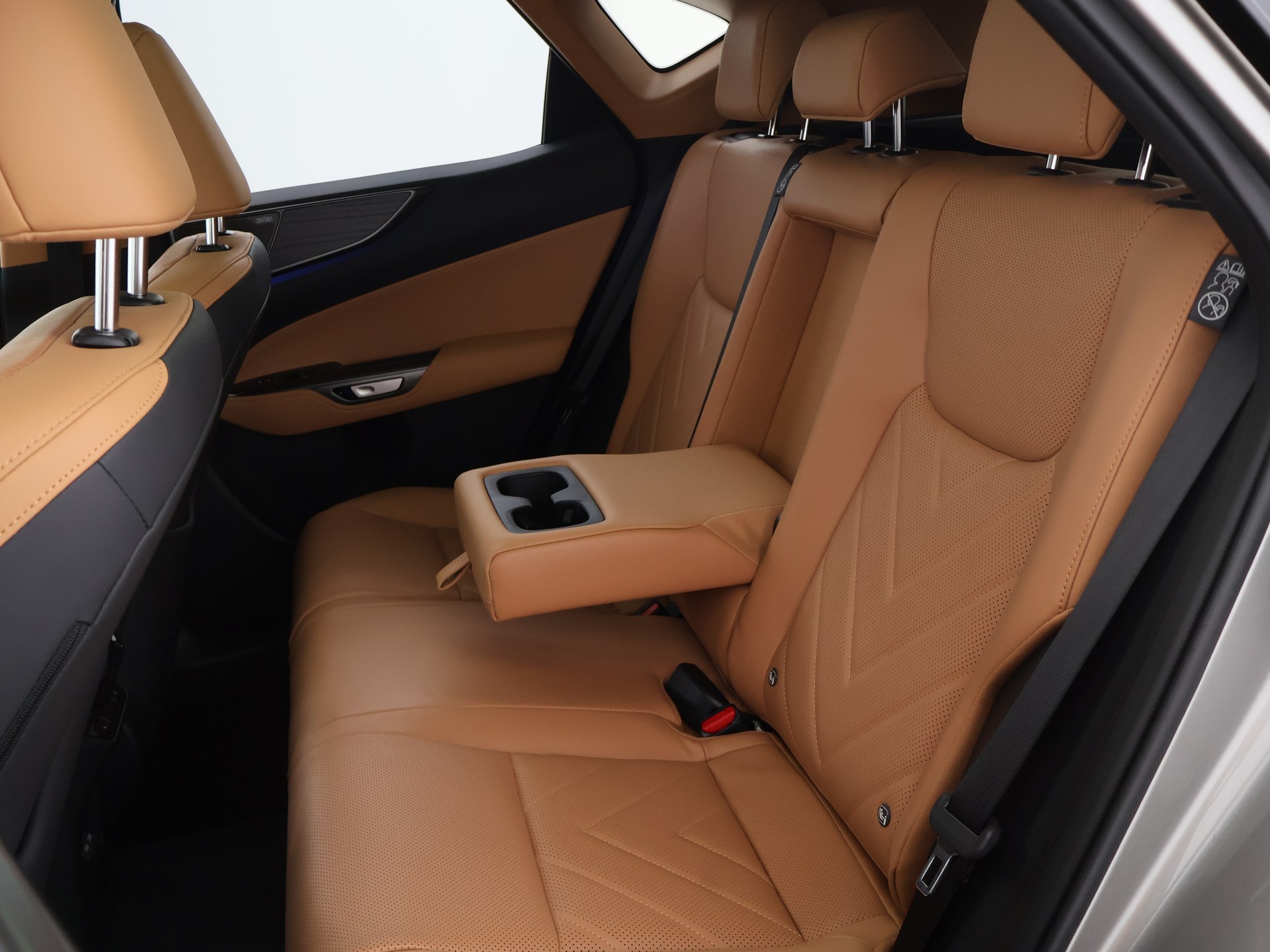 Foto van Lexus Lexus Nx450h+