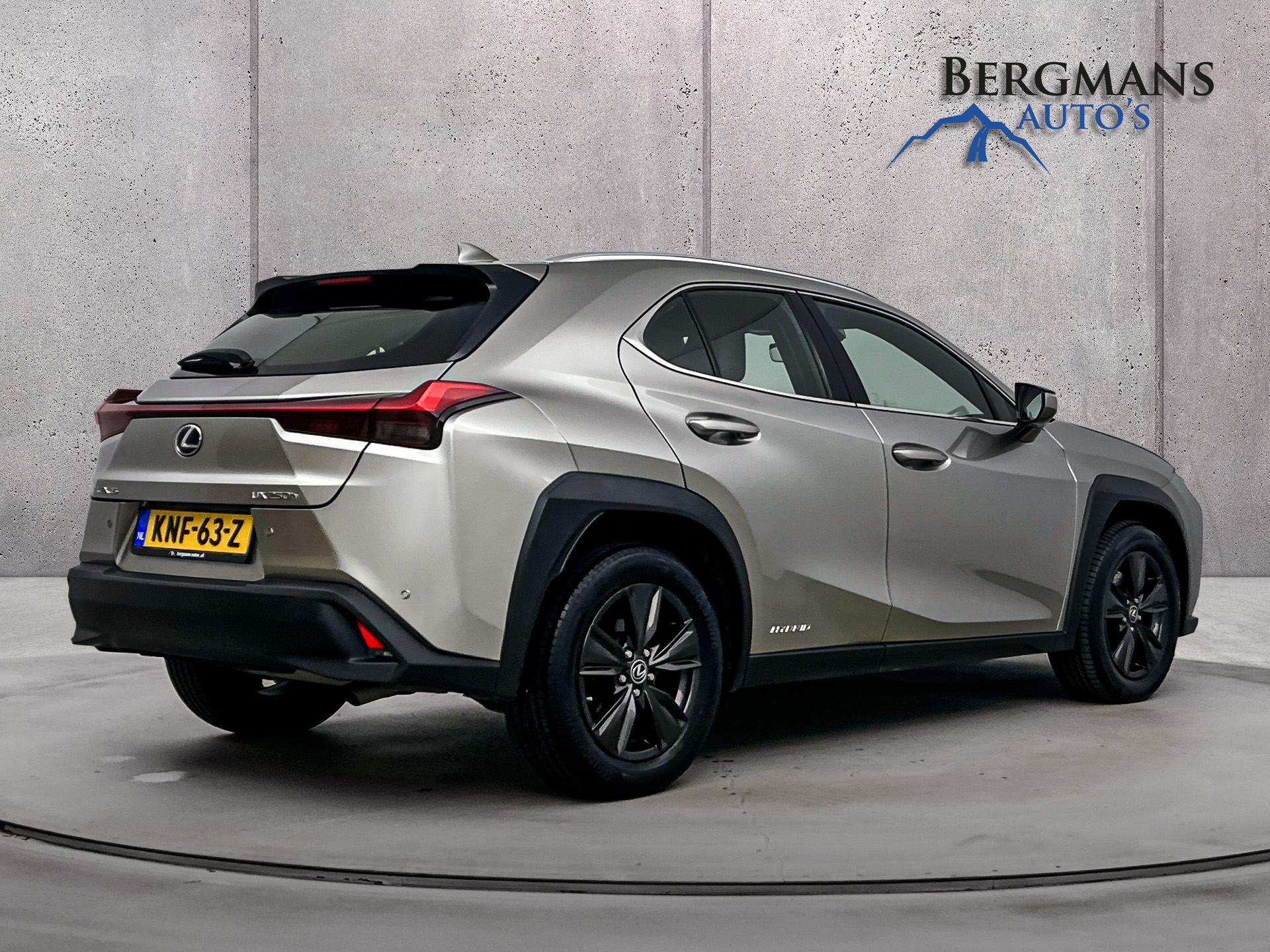 Foto van Lexus Lexus Ux250h