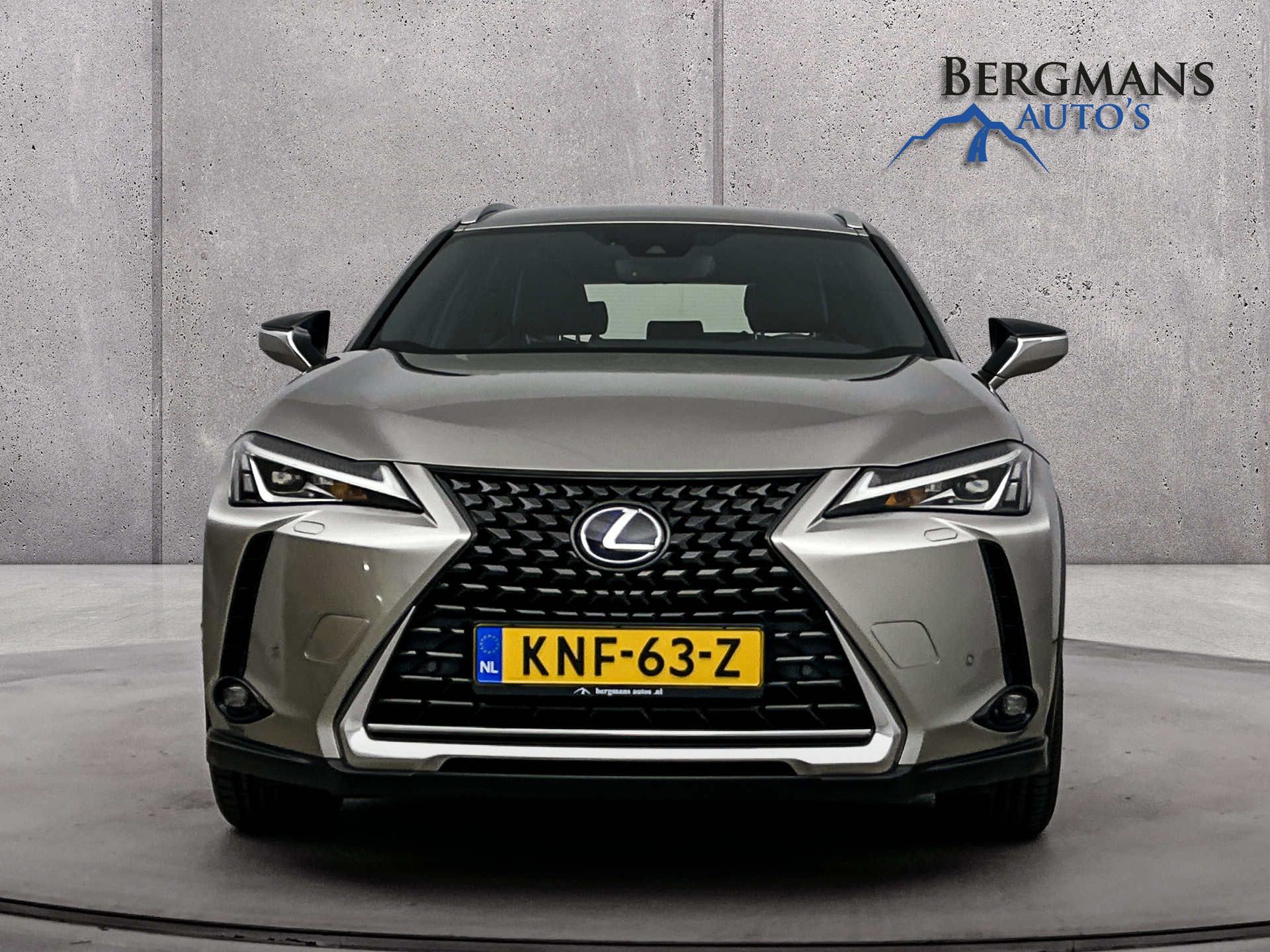 Foto van Lexus Lexus Ux250h