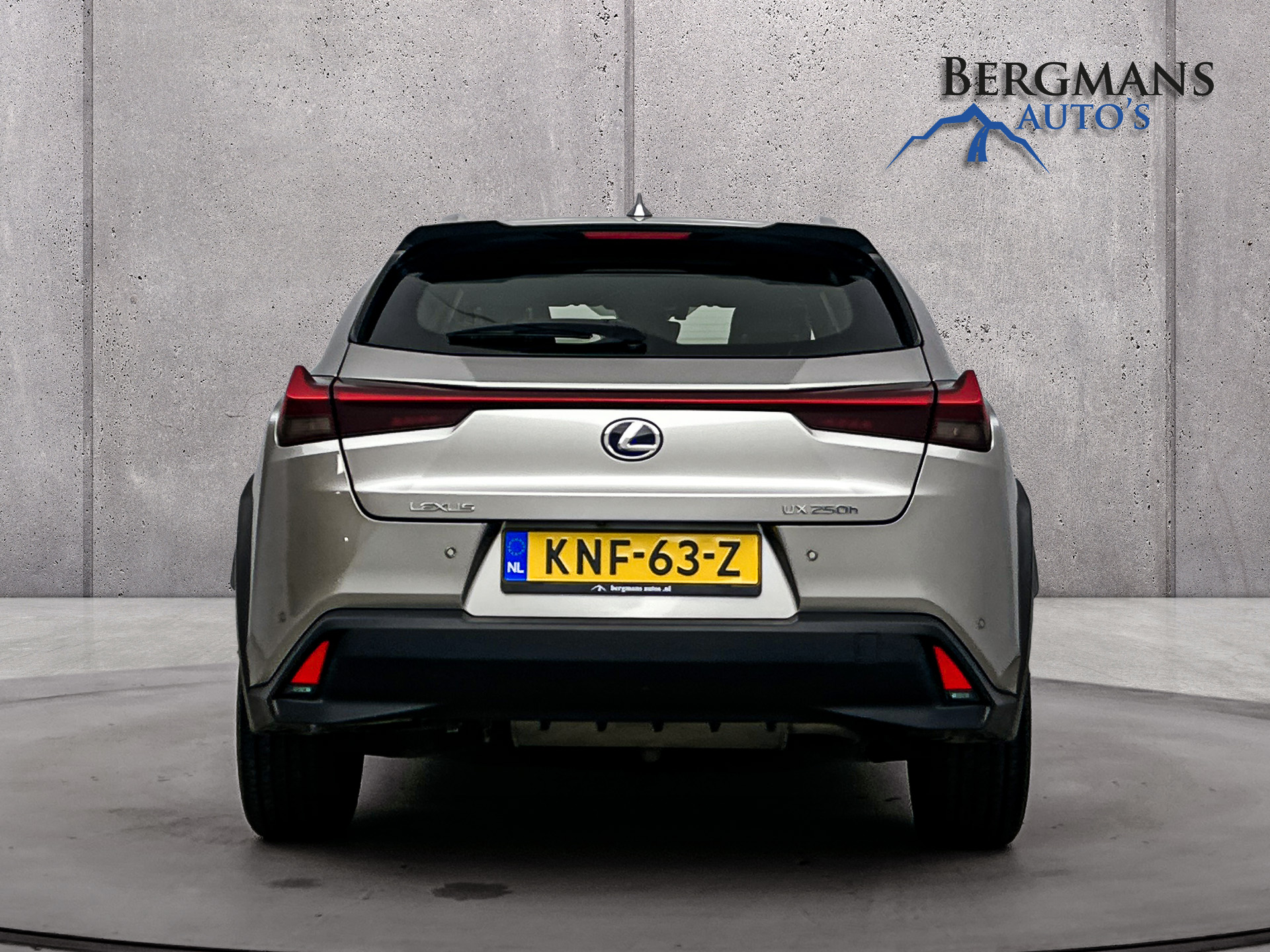 Foto van Lexus Lexus Ux250h