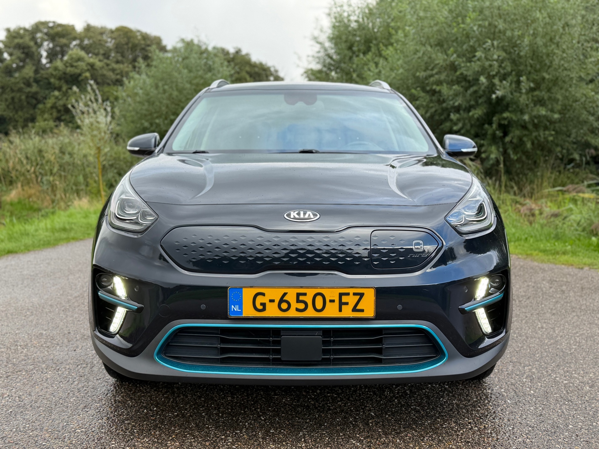 Foto van Kia Niro