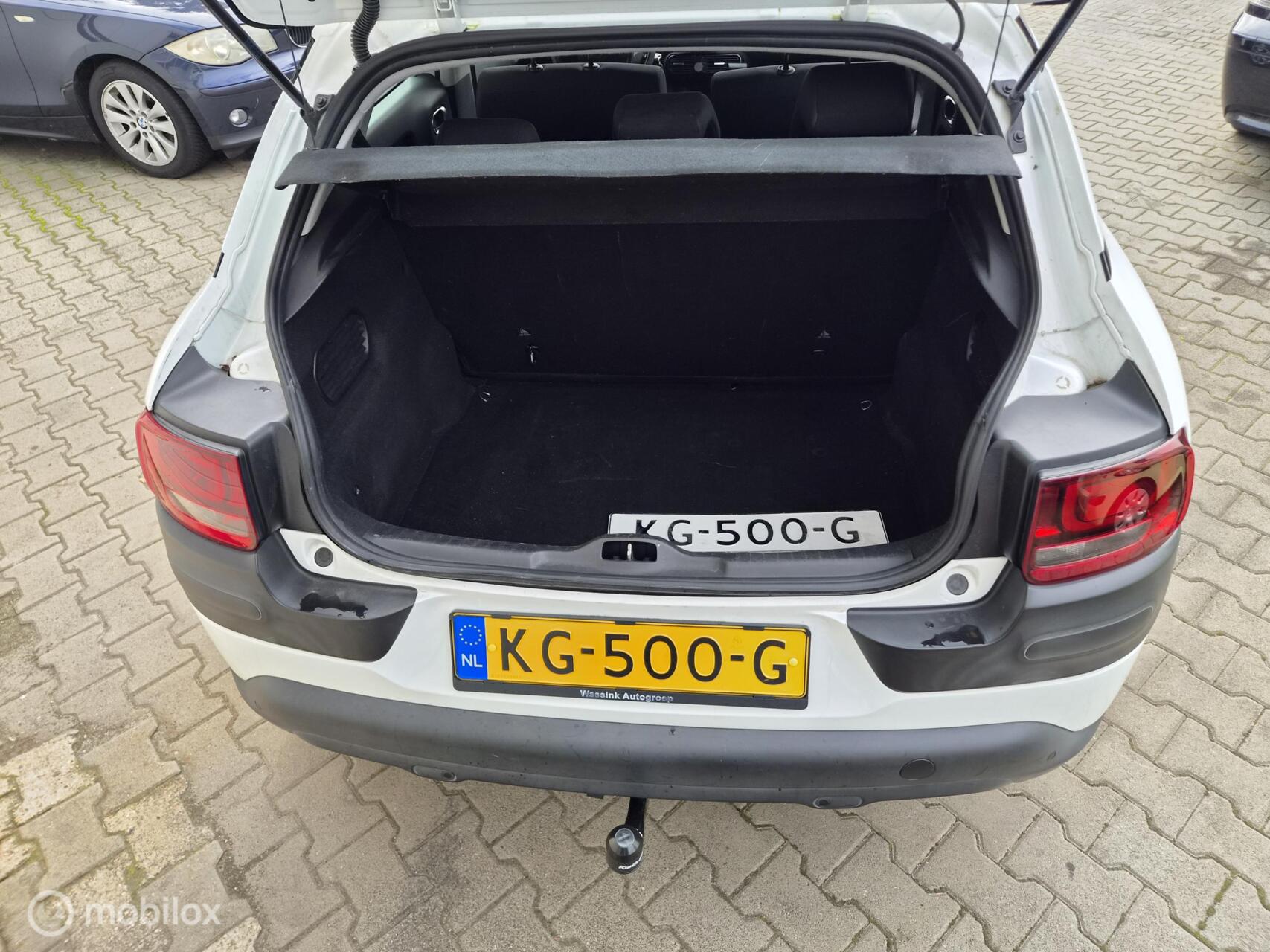 Foto van Citroen C4 Cactus