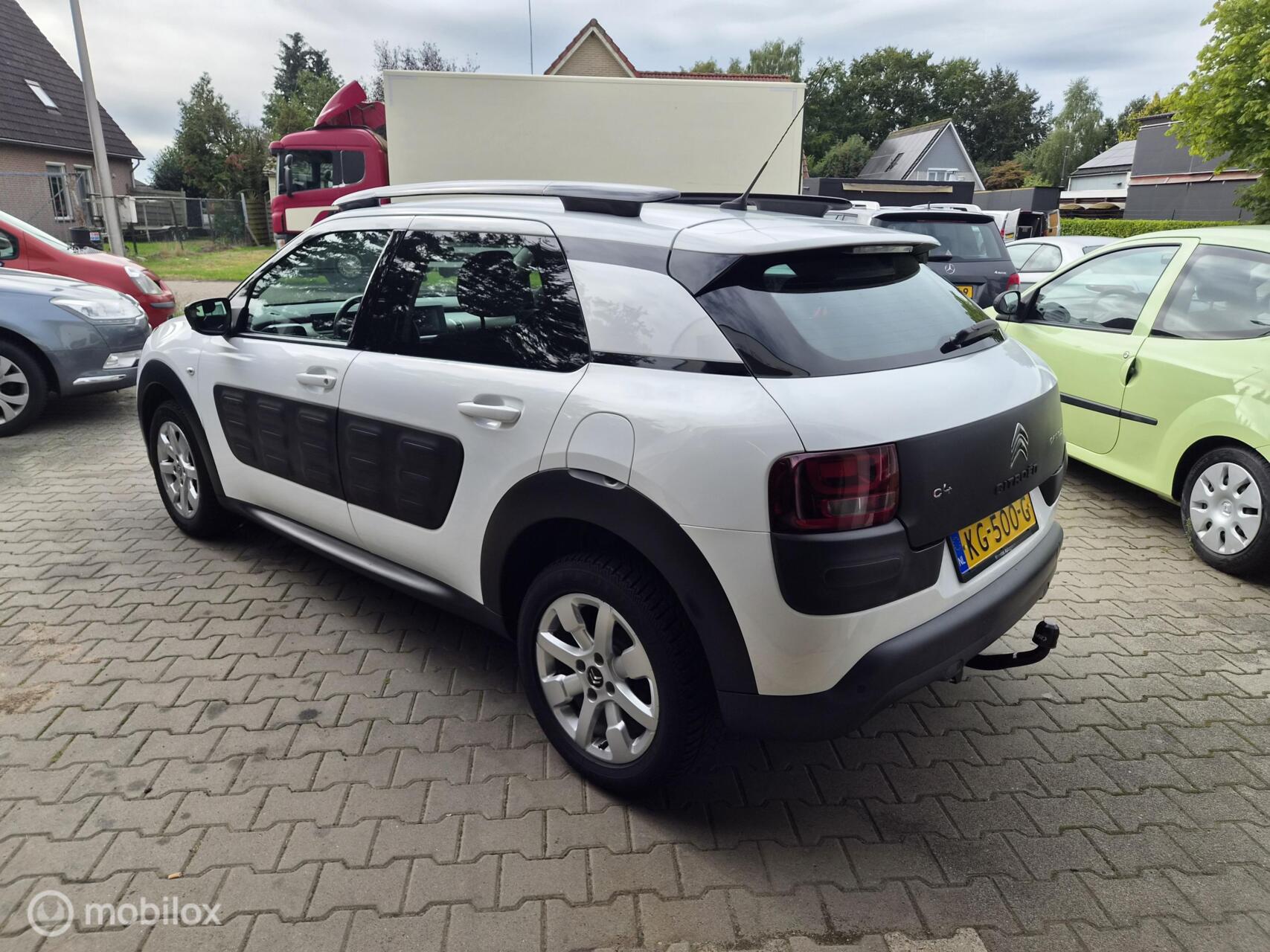 Foto van Citroen C4 Cactus
