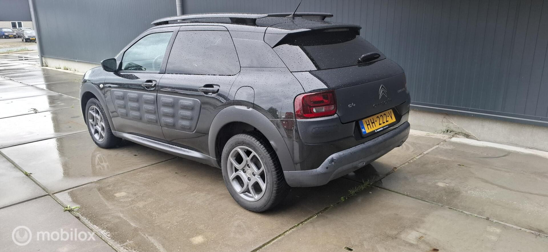 Foto van Citroen C4 Cactus