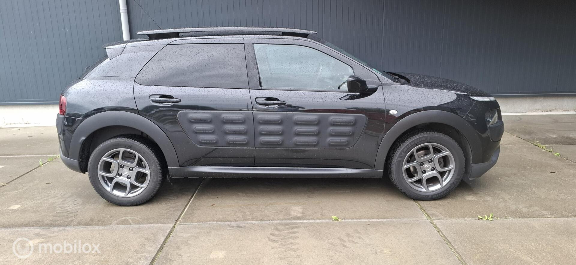 Foto van Citroen C4 Cactus