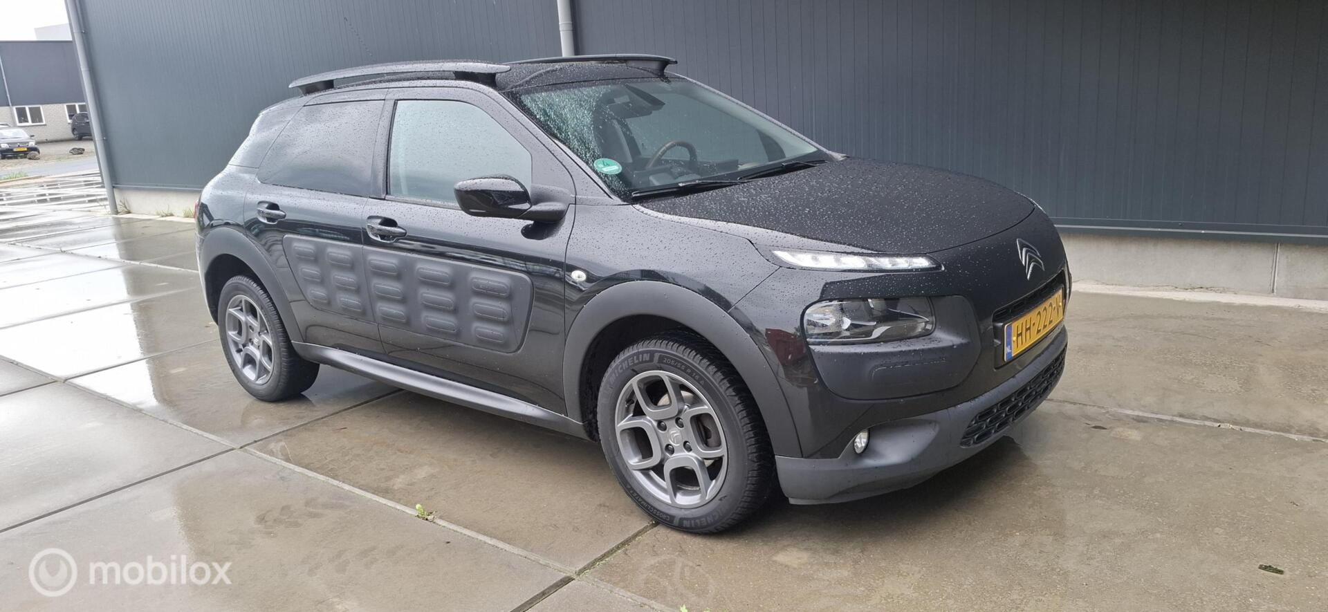 Foto van Citroen C4 Cactus