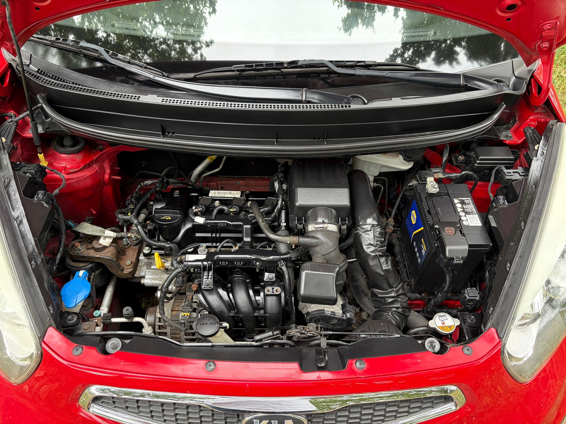 Foto van Kia Picanto