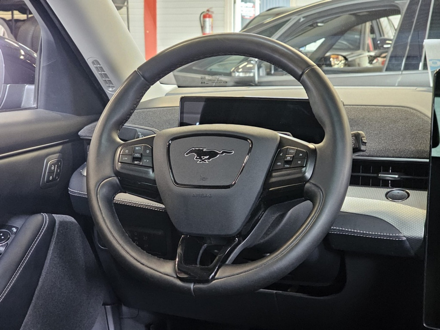 Foto van Ford Mustang Mach-e