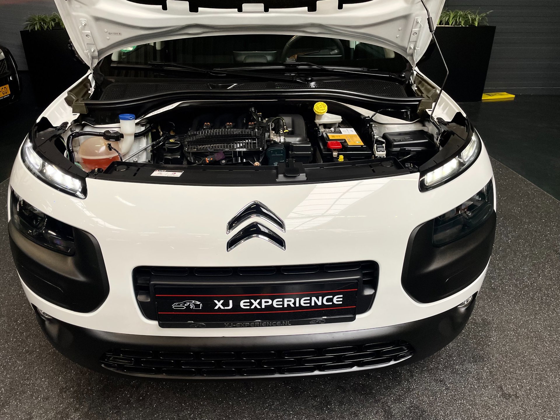 Foto van Citroen C4 Cactus