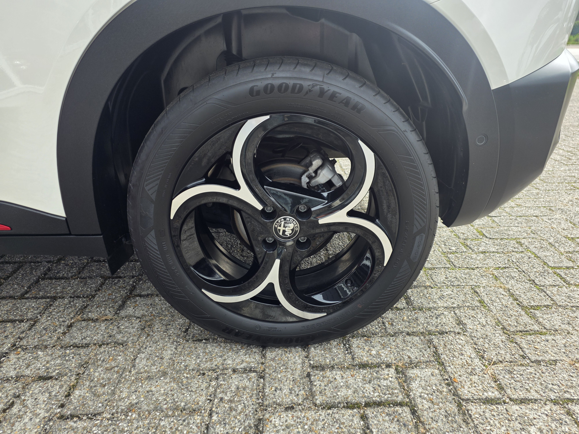 Foto van Alfa Romeo Alfa Romeo Junior