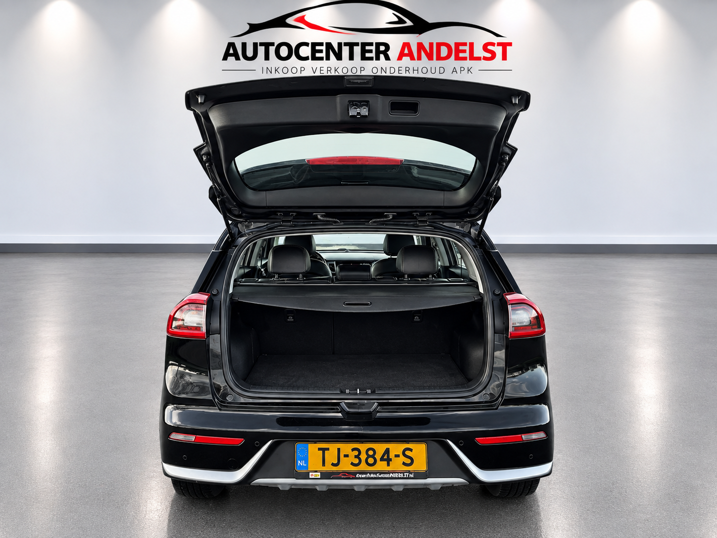 Foto van Kia Niro
