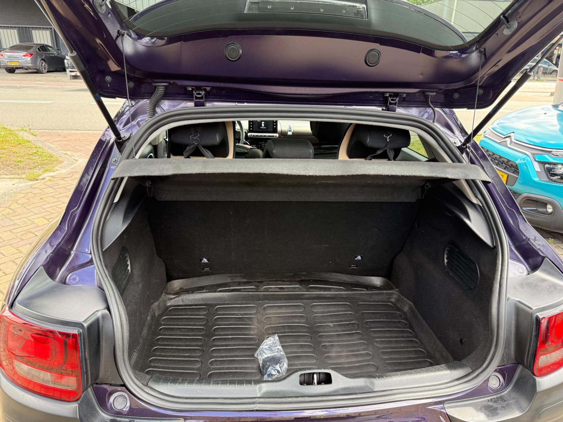 Foto van Citroen C4 Cactus