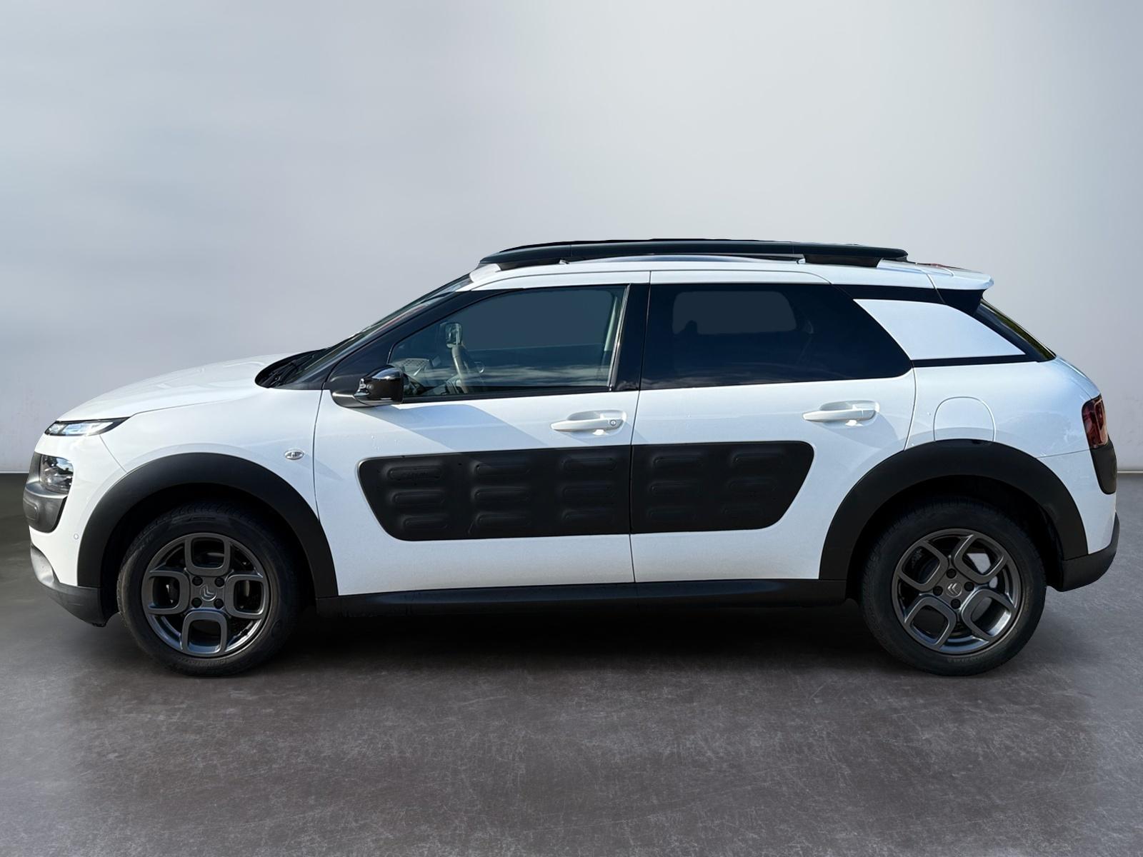 Foto van Citroen C4 Cactus