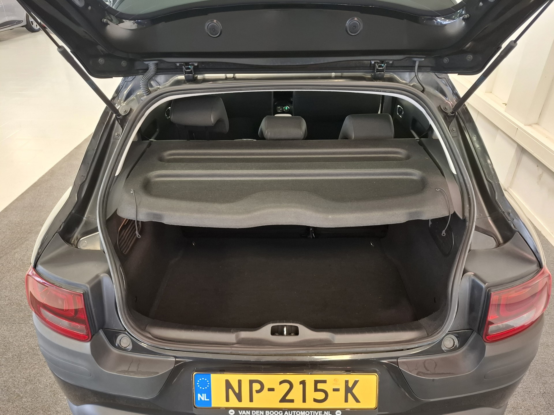Foto van Citroen C4 Cactus