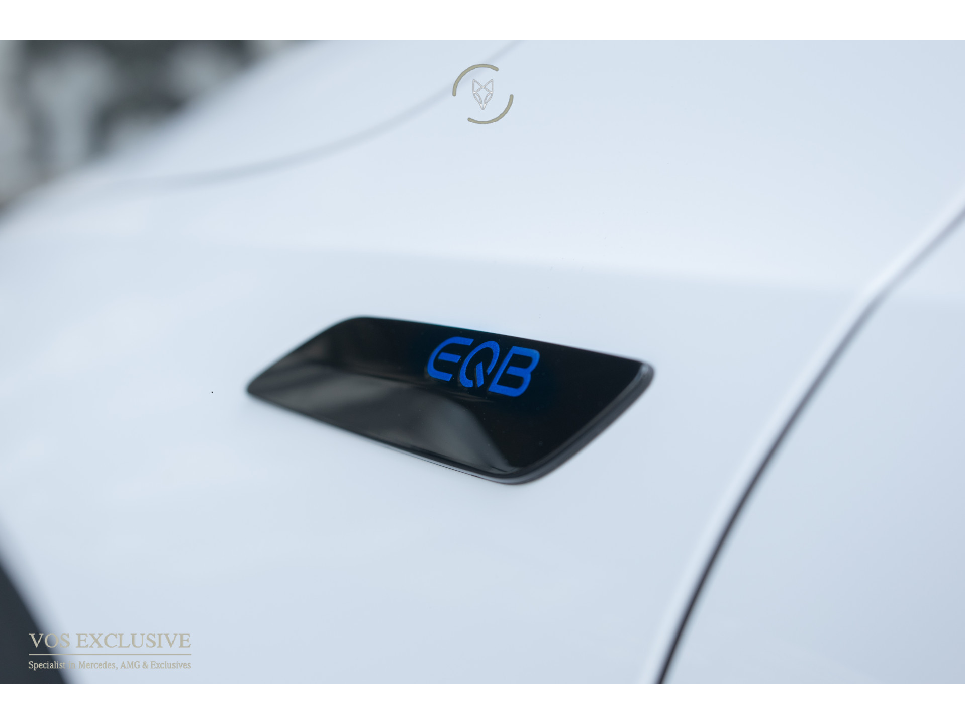 Foto van Mercedes-Benz Eqb 300 4Matic
