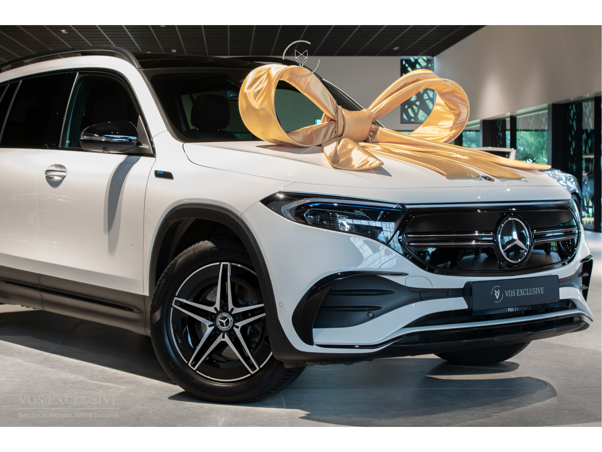 Foto van Mercedes-Benz Eqb 300 4Matic