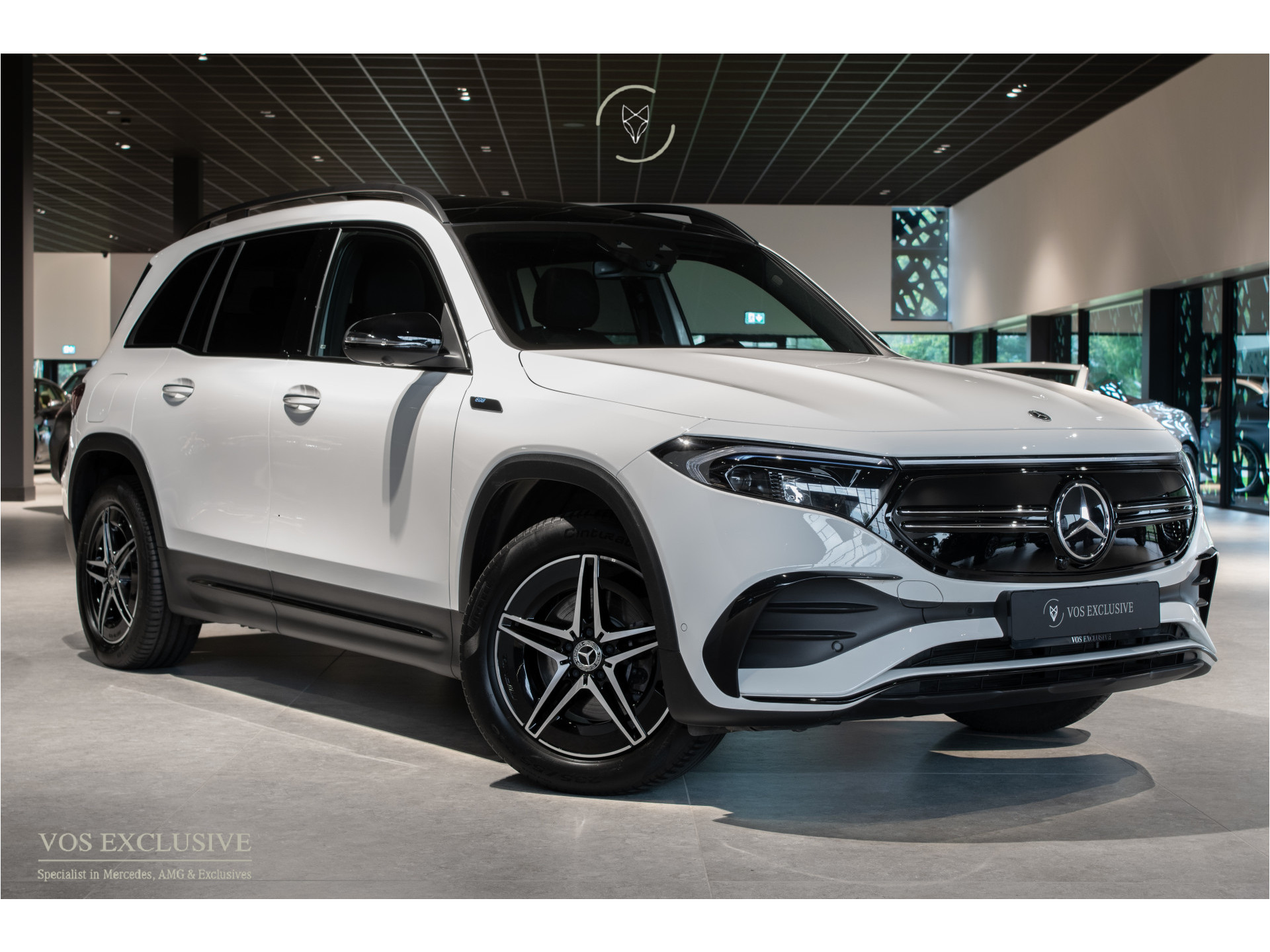 Foto van Mercedes-Benz Eqb 300 4Matic